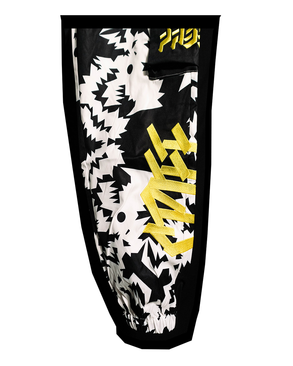 Twin Dragon Tech Pants