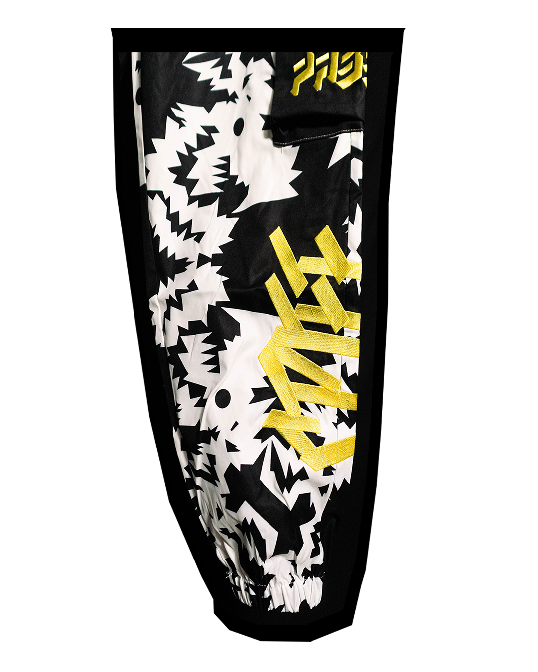 Twin Dragon Tech Pants